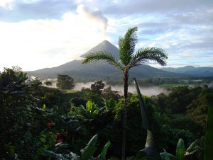 Lush greenery, smoke and a volcano in the background